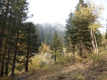 P1010748