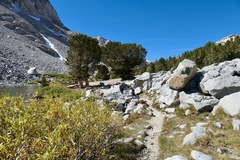 P1000677