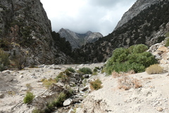 P1000823