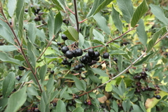 P1000825