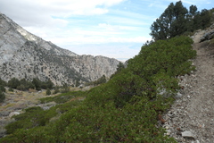 P1000828