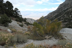 P1000831