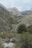 P1000845