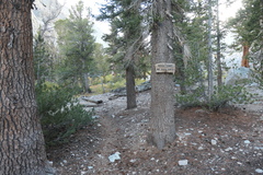 P1000852
