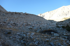 P1000853