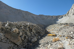 P1000858