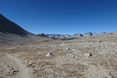 P1000867