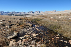 P1000869