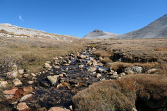 P1000870