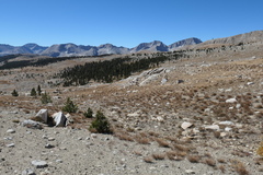 P1000874