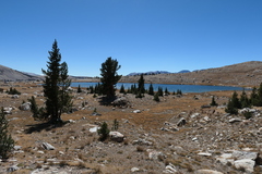 P1000875