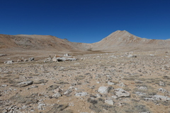 P1000879