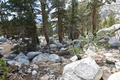 P1000941