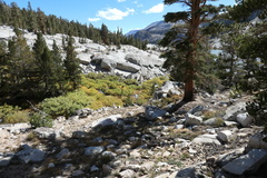 P1000950