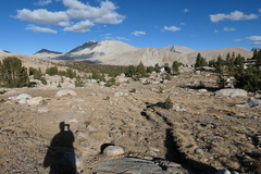 P1000959