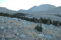 P1000971