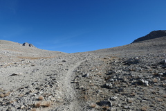 P1000974
