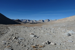 P1000976