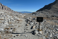 P1000977