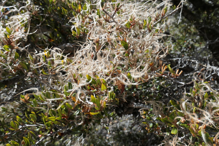 P1000982