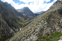 P1000983