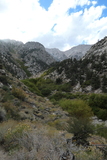 P1000984
