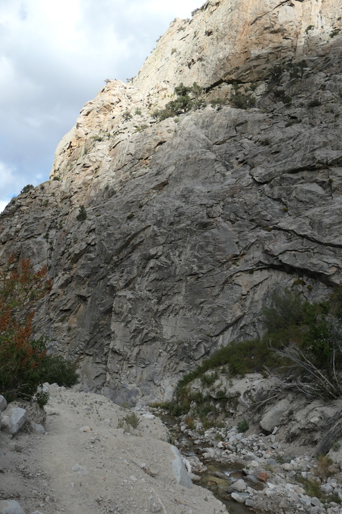 P1000986